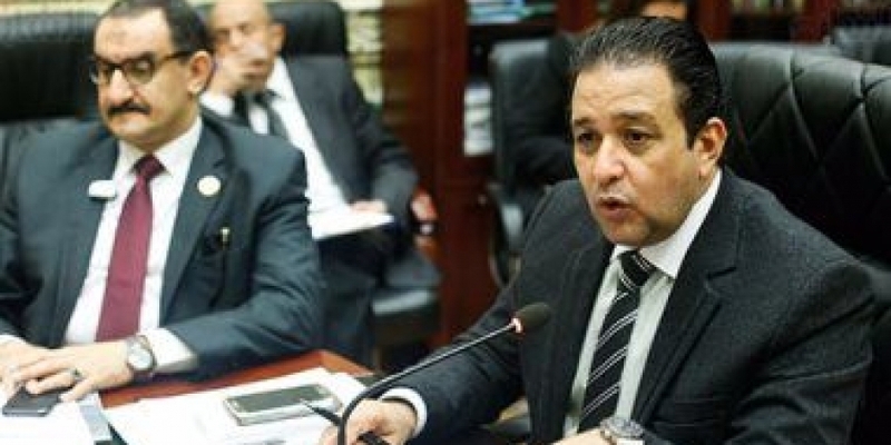«حقوق الإنسان البرلمان» تطالب بتوقيع بروتوكول للدفاع عن المصريين المتضررين بالخارج