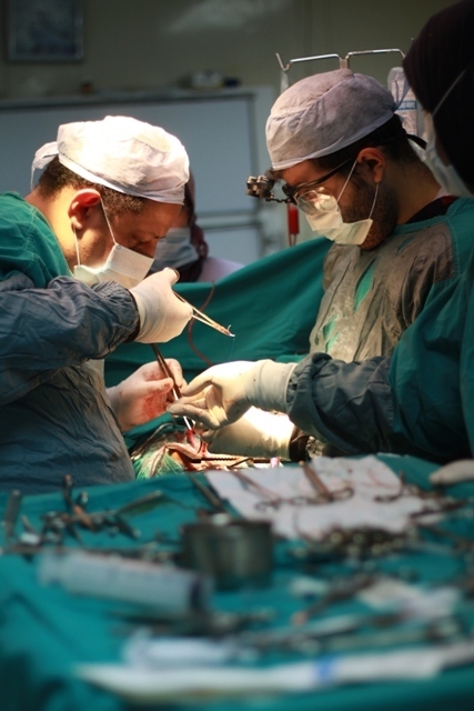 بالصور..خبير عالمي لجراحات «القلب» الحرجة فى ضيافة جمعية «الأورمان»