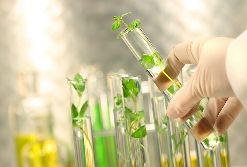 «البحث العلمي» تعلن فتح باب التقدم بمشروعات بحثية في «التكنولوجيا الحيوية» و«الهندسة الوراثية»