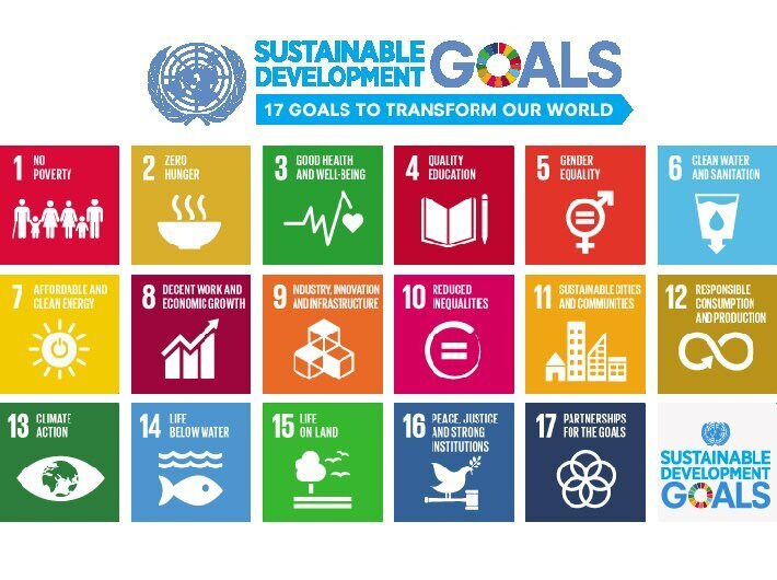 خبير هندي : مساع لتجسير الفجوة بين أهداف التنمية المستدامة وأنشطة المسئولية المجتمعية للشركات