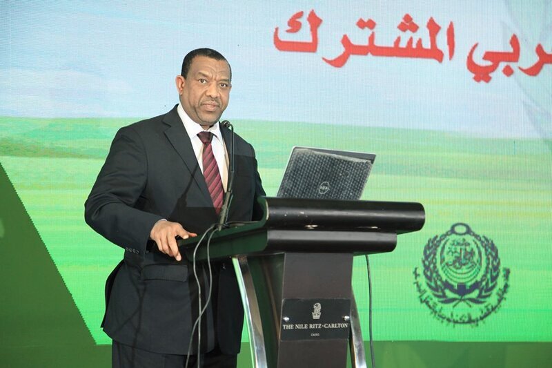 «الأمين المساعد لجامعة الدول»: المؤتمر الإعلامي يثبت قوة الأمة العربية رغم التحديات الحالية