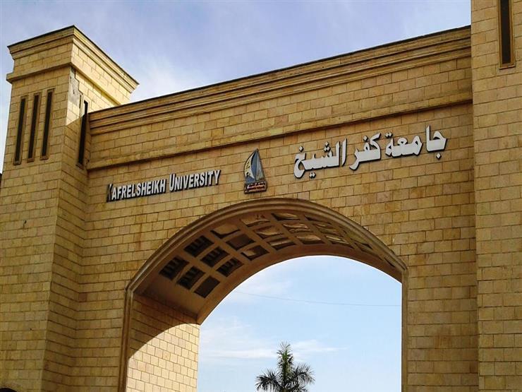 مجلس جامعة كفر الشيخ يوافق على تحويلها لجامعة ذكية