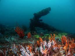Int’l Conf. on Protection of Underwater Cultural Heritage to kick off in France on Monday