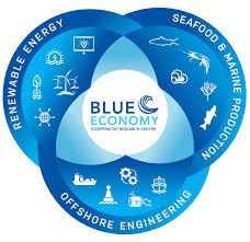 Blue economy vital for attaining SDGs, savine marine creatures