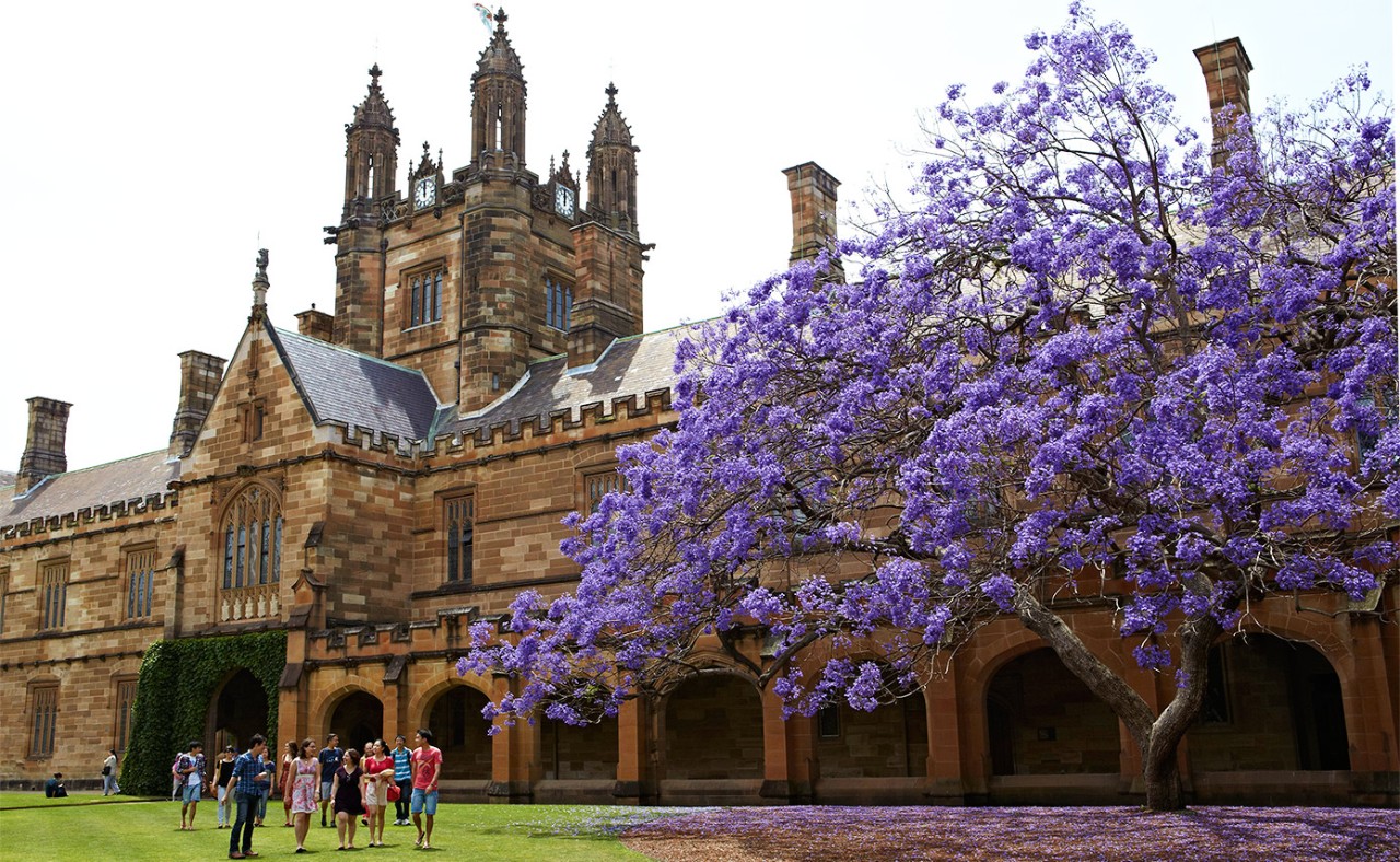 Sydney ranks 60th in the world in prestigious university ranking