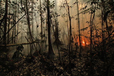 Reducing peatland fires to save thousands of lives in Indonesia, Malaysia, Singapore