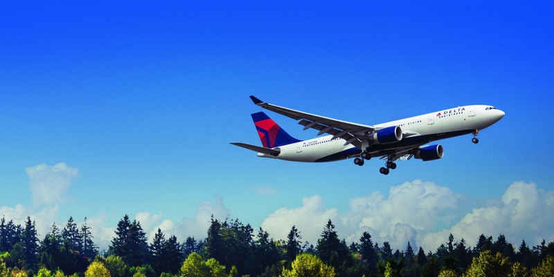 Delta commits $1 bn to be 1st carbon neutral airline globally