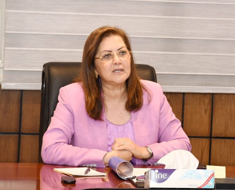 وزيرة التخطيط تعقد اجتماعًا فنيًا لإعداد تقرير التنمية البشرية في مصر للعام 2020