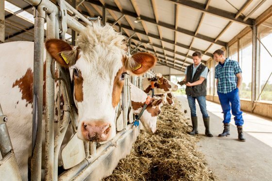Trouw Nutrition launches €10,000 HealthyLife Grant for sustainable dairy farming