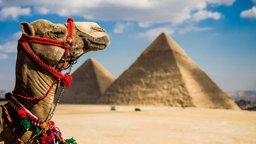 المجلس العالمي للسياحة والسفر يصنف مصر كوجهة آمنة وصحية