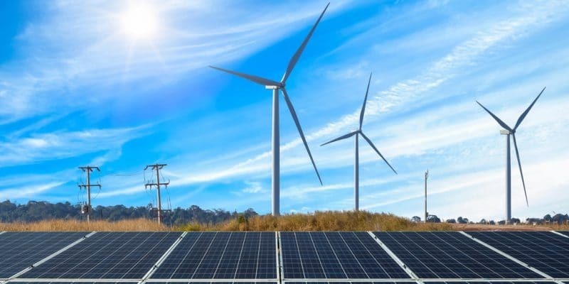 UNEP, India’s ReNew Power partner to promote renewables