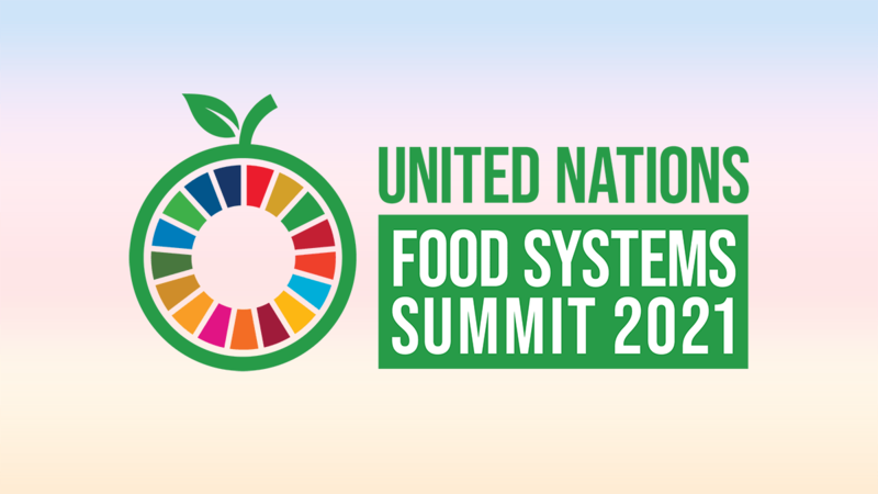 1st-ever UN Food Systems Summit vital for SDGs