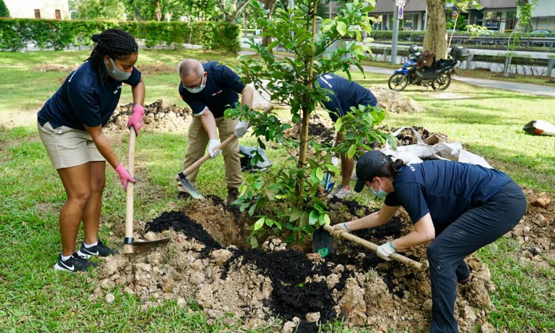 US embassy in Singapore plants 45 trees in Jan. under CSR
