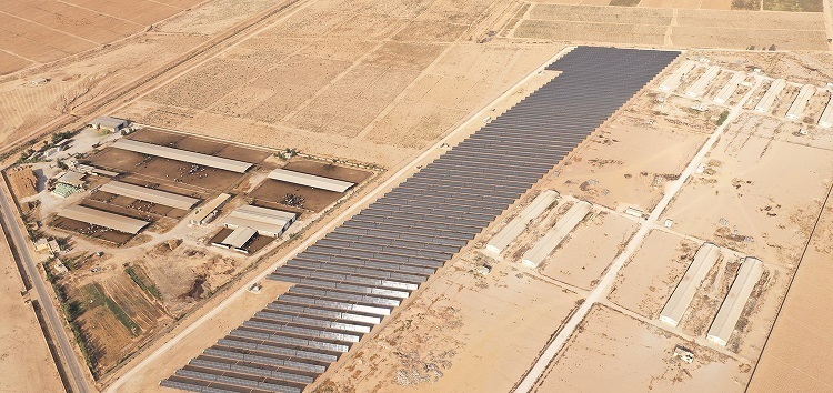 Jordan’s Yellow Door Energy gets $ 10.6m loan to promote solar energy