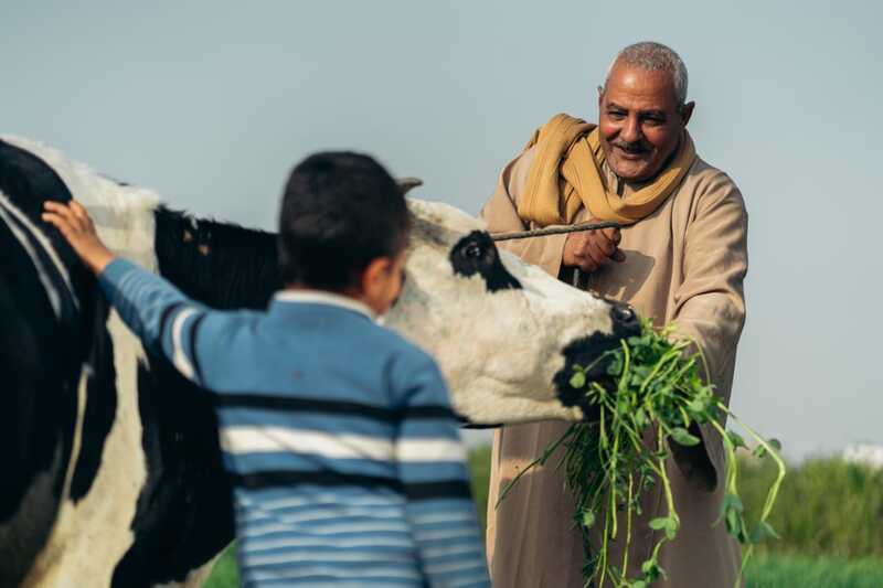 «دانون»: 8 آلاف مزارع يستفيد من مبادرة الألبان بثلاث محافظات
