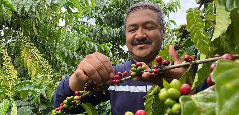 Nestlé develops low carbon coffee varieties