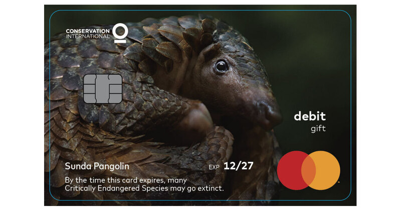 Mastercard launches Wildlife Impact Card Program