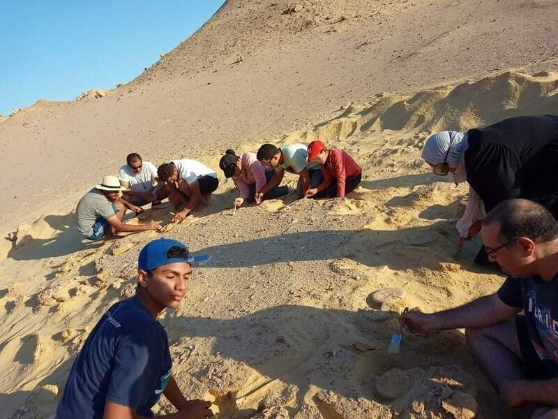 لدمج الشباب في العمل البيئي.. «البيئة» تُطلق تدريب في مجال اكتشاف وصيانة الحفريات