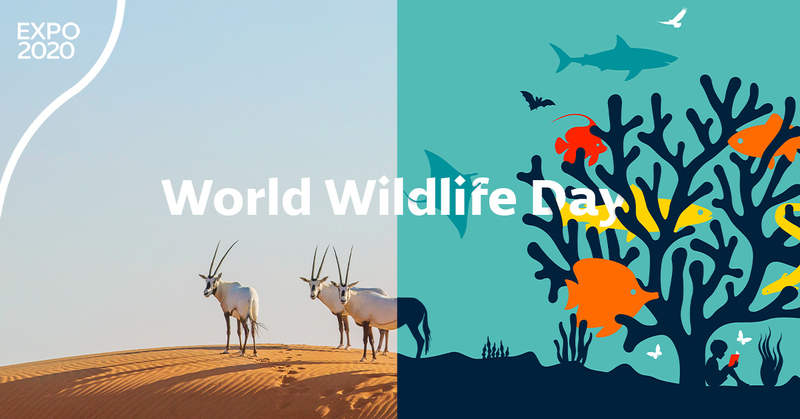 UNEP to engage Dubai EXPO visitors in World Wildlife Day celebration