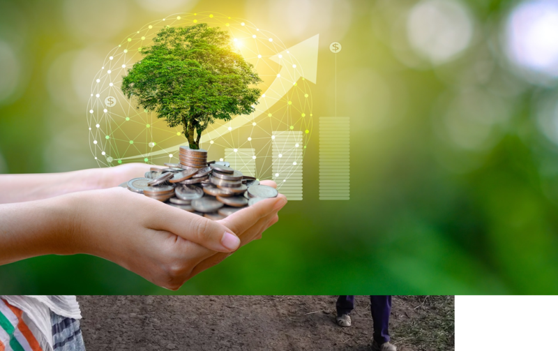 Report: 94% of banks identify sustainability as a strategic priority