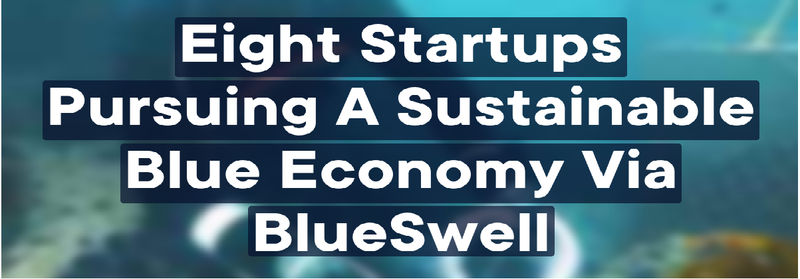 Eight startups pursuing a sustainable blue economy via BlueSwell