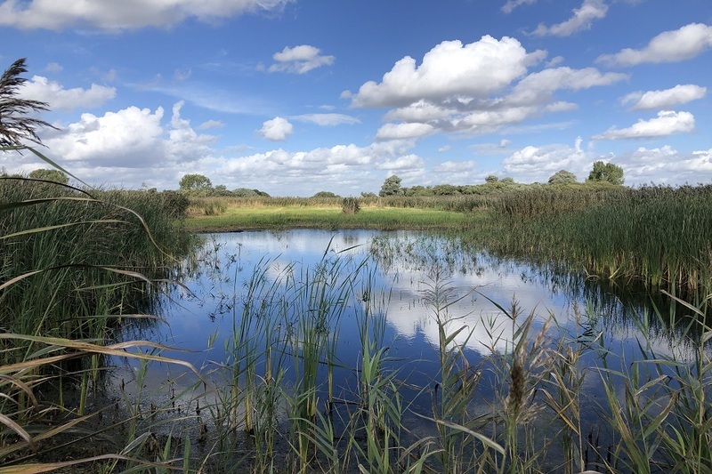 Cambridgeshire Great Fen project to save 325,000 tons of CO2 annually