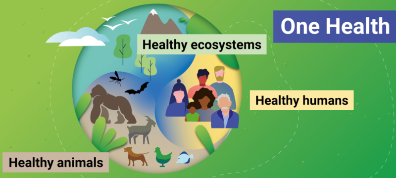 One Health focuses on global human, animal, ecosystem health