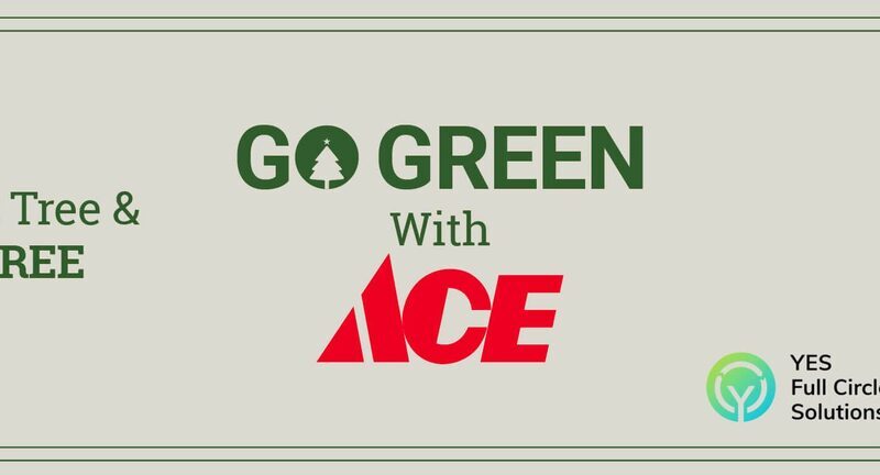 Al-Futtaim ACE revives Treecycle campaign for 2nd year to recycle Xmas trees