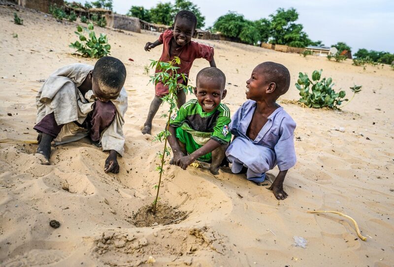  $3.6 bn UNDP program to support sustainability in Sahel region