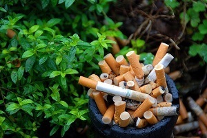 WHO announces 2022 global campaign “Tobacco: Threat to our environment”