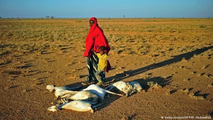 Denmark extends $ 4.3 m to reduce climate impact on Horn of Africa