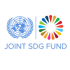 Joint SDG Fund doubles its portfolio to $114 m to back SDGs in 5 more states