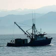 £1.4m allocated for eight projects supporting sustainable fishing in UK