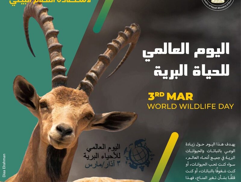Egypt marks 2022 World Wildlife Day