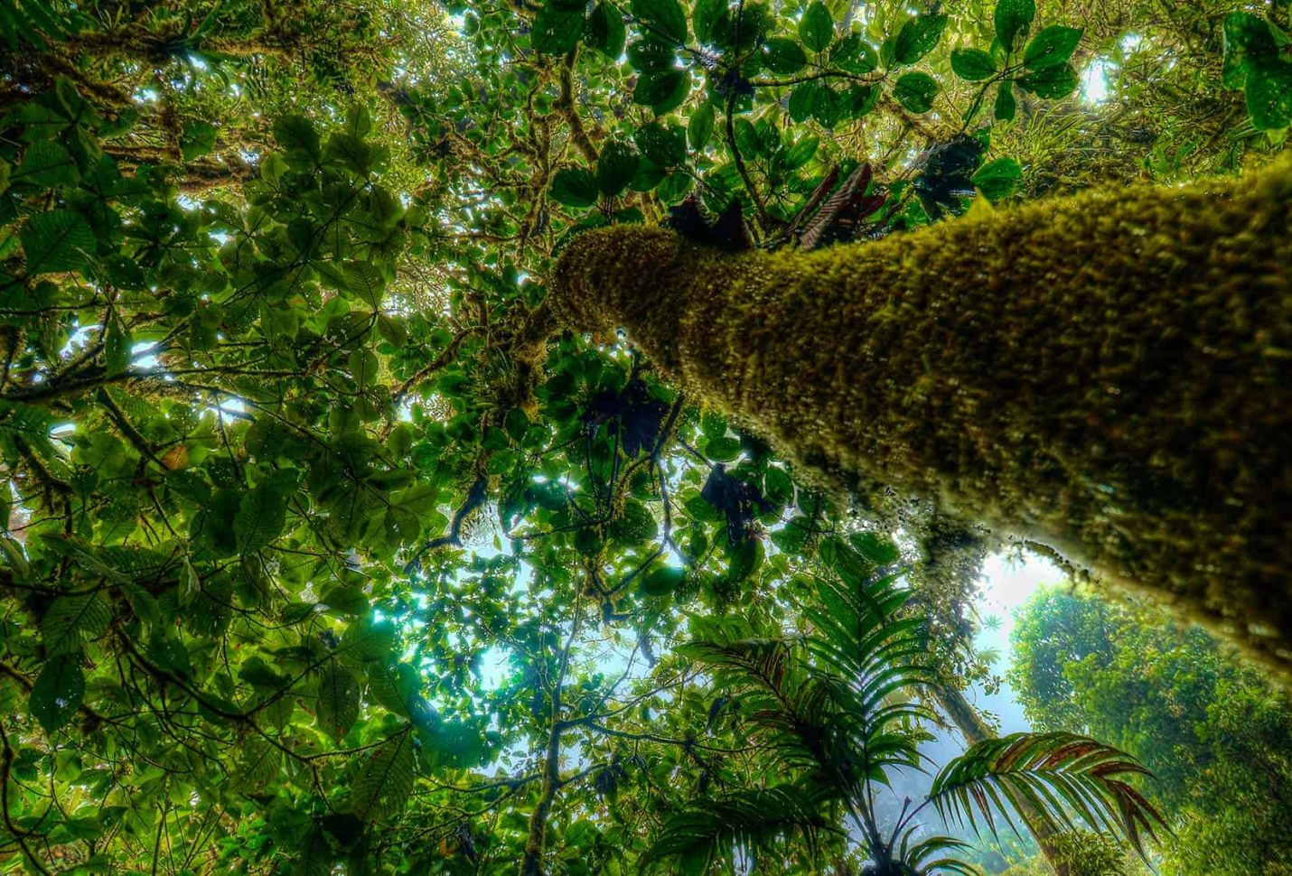 Costa Rica on track to unlock $60 m to cut 12 m tons of CO2 emissions by 2025
