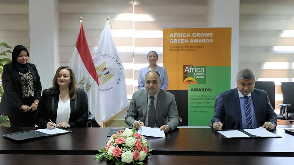 Egypt launches climate action award for greener future in Africa
