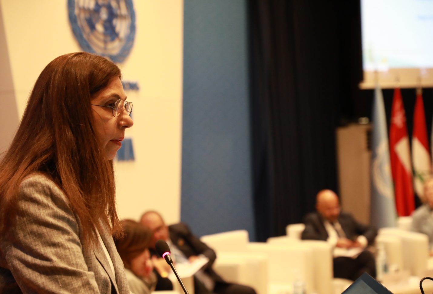 ESCWA official: Arab States received about $34 bn in climate finance over past decade