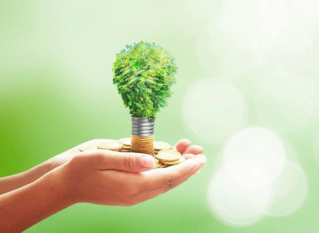 أستاذ بيئة: «نوفي» يهدف لتمويل المشروعات الخضراء وتقليل الانبعاثات