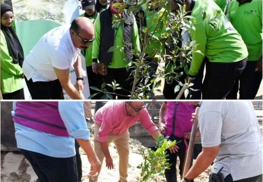 ضمن مبادرة «100 مليون شجرة».. «التنمية المحلية» تقوم بحملة تشجير في 5 محافظات