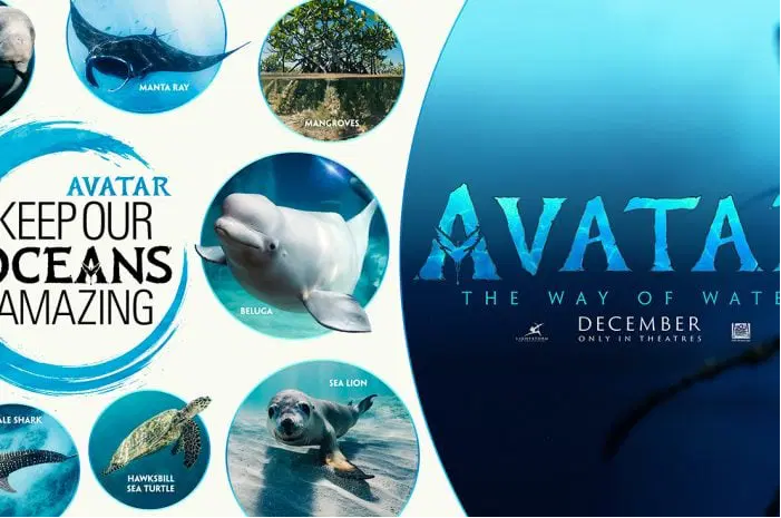 Disney, Avatal launch global campaign for protecting oceans, marine life