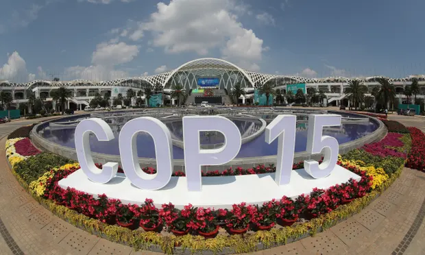 COP15 aims to come up with historic deal on global actions on biodiversity