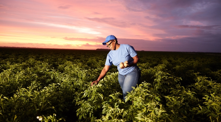 PepsiCo official: Eliminating on-farm emissions vital for net-zero goal