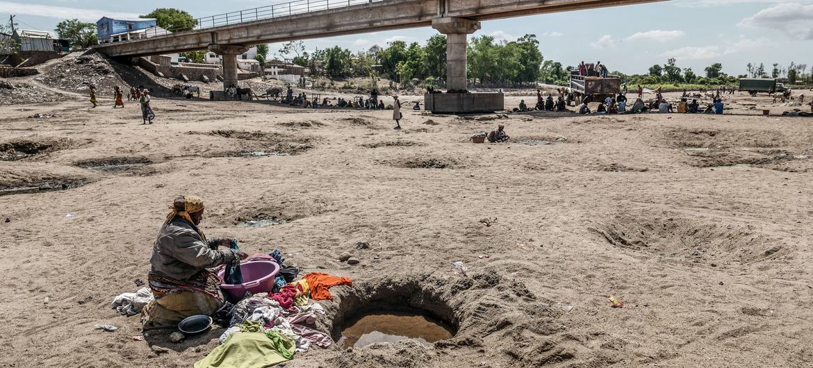 Greta Thunberg Foundation donates 275,000 euros to back Somalia, Pakistan against climate change