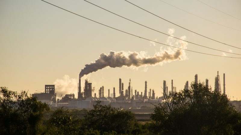 UNEP official urges enforcing regulations on companies to ensure curbing emissions 