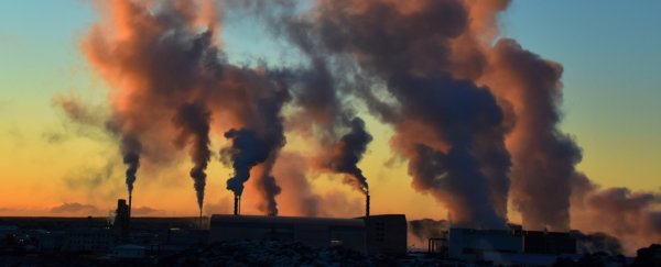 WWF scientists urge governments to accelerate action to phase out fossil fuels
