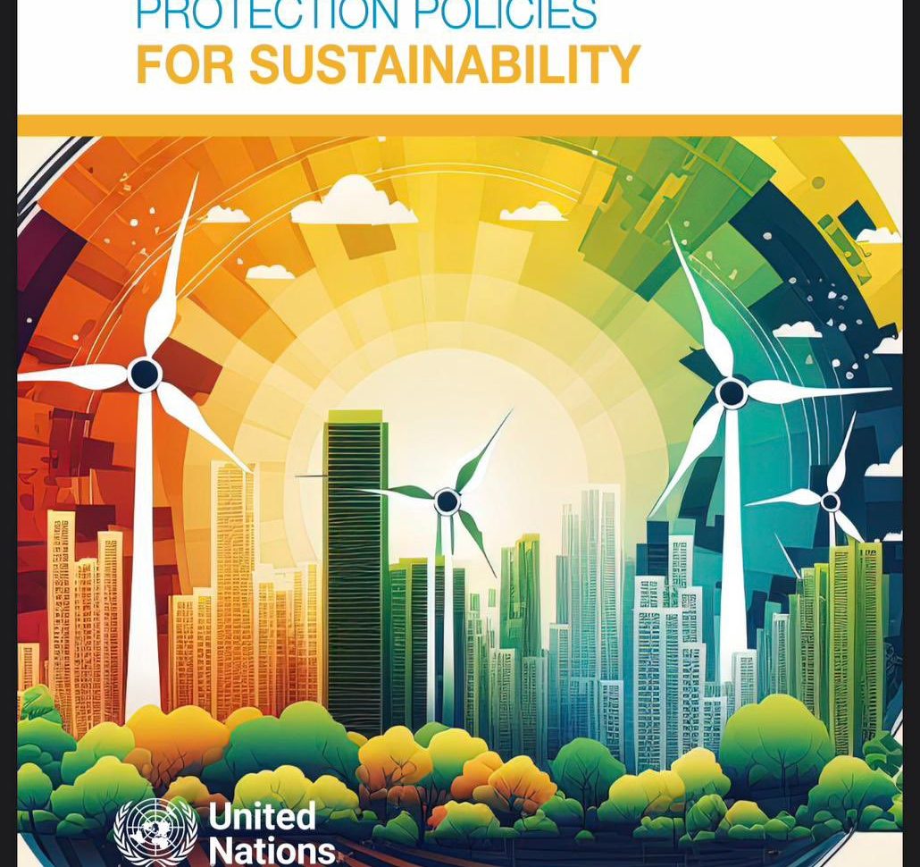 UNCTAD report highlights Egyptian initiative for sustainability-related education of consumer