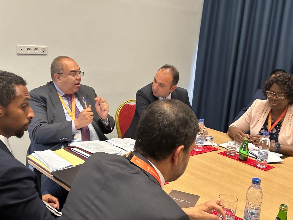 Mohieldin: Africa must invest in human capital to increase green hydrogen production