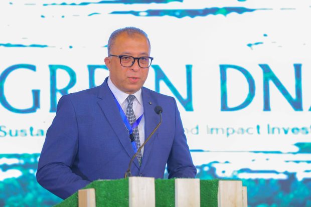 Araby: Green investments in Egypt meet 40% of environmental standards