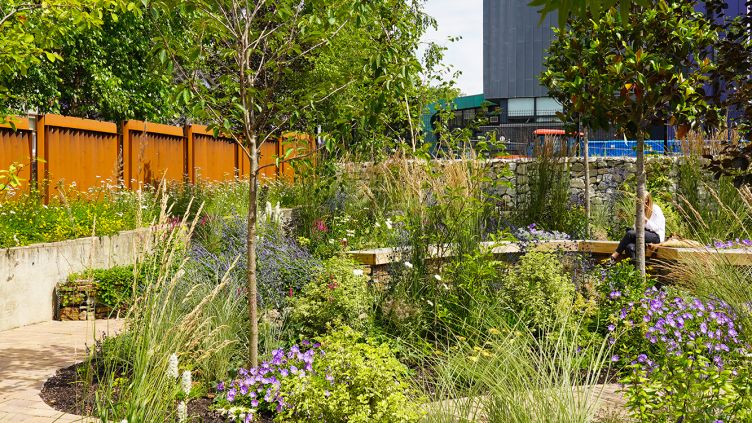 جامعة شيفيلد : تدشين حديقة جديدة من المواد المعاد تدويرها مع أشجار مختارة للتأثير البيئي السريع
