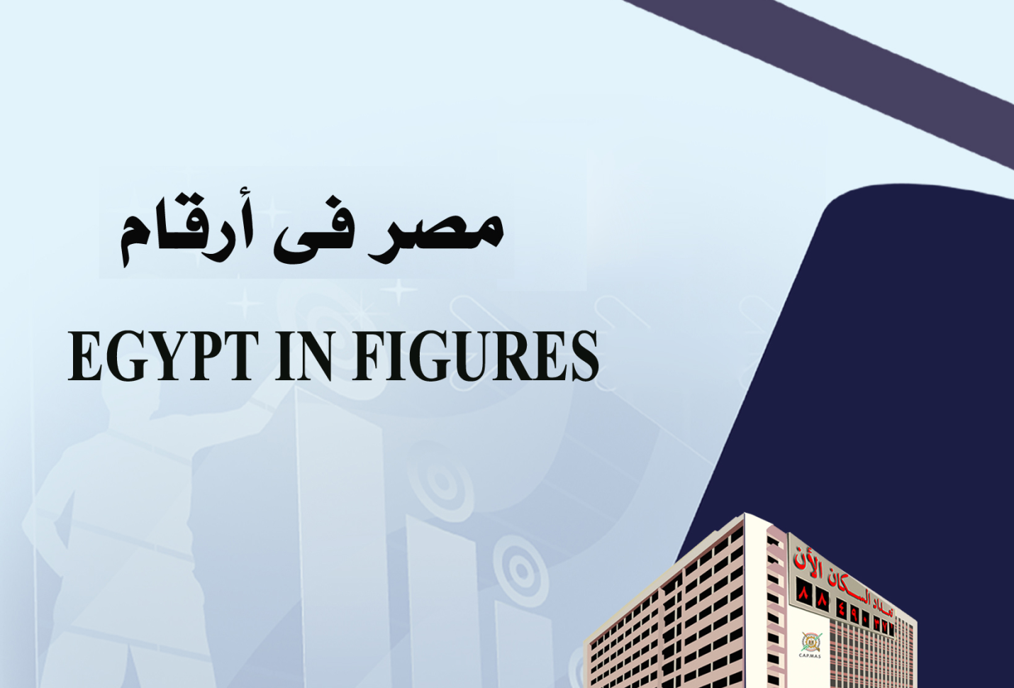  “Egypt in Figures 2023″ Booklet includes key sustainable development indicators